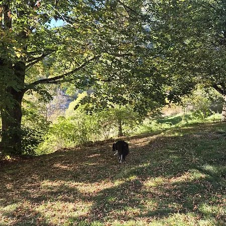 Au Diapason D'hotes Montagne Pensión 3*