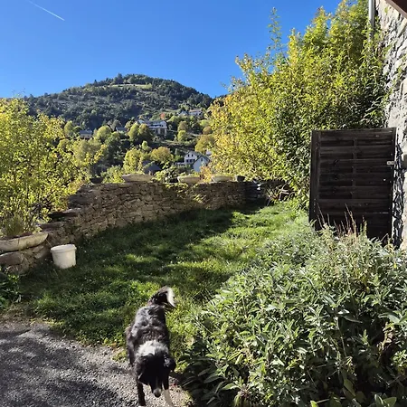 Au Diapason D'hotes Montagne 3* Auzet