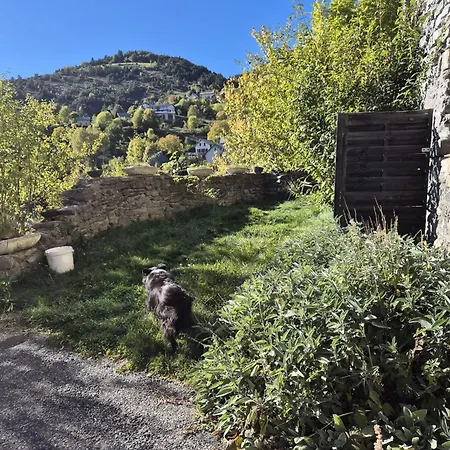 Au Diapason D'hotes Montagne Pensión Auzet