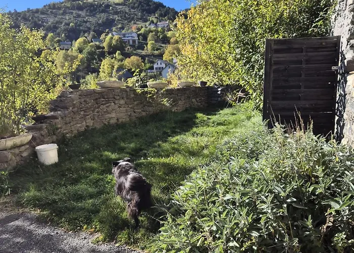 Au Diapason D'hôtes Montagne Maison d'hôtes Auzet